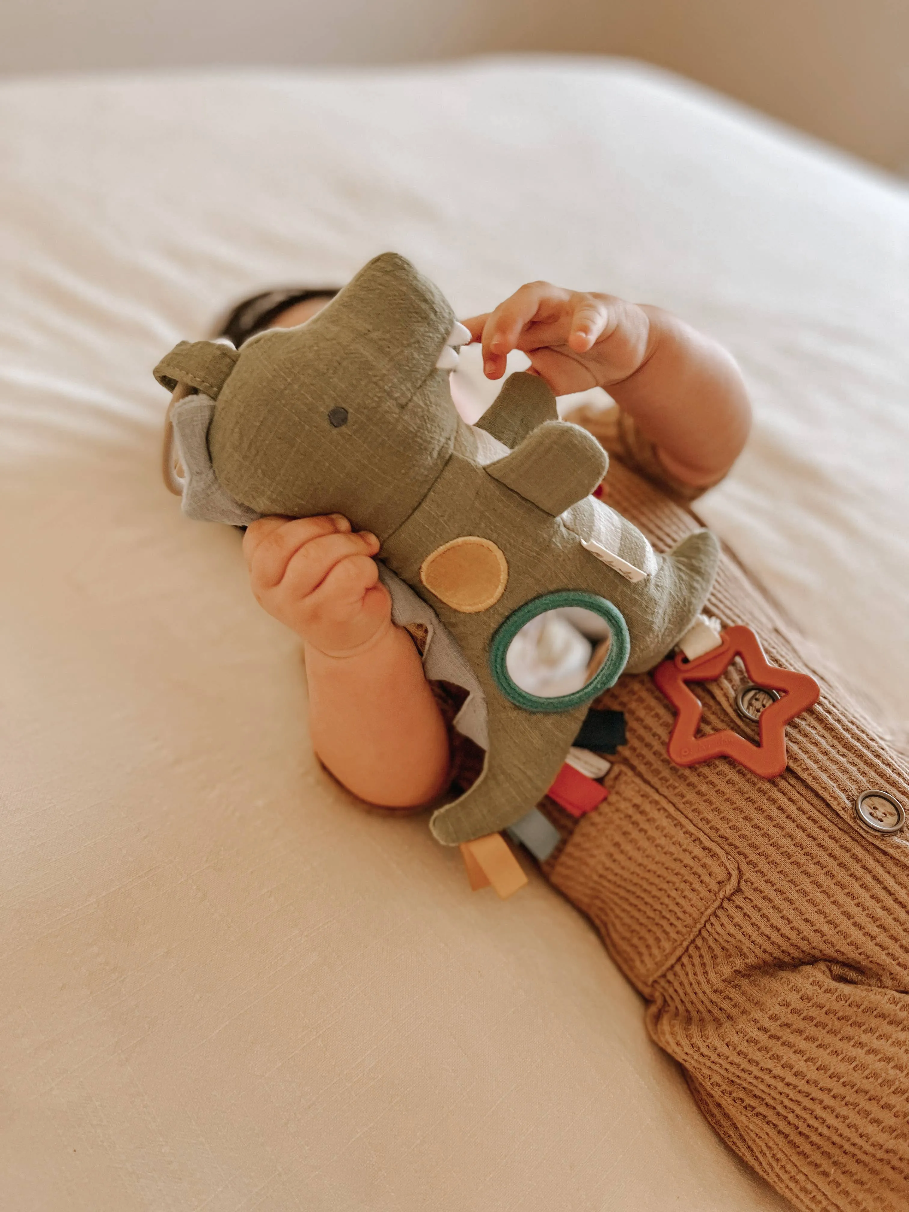 Bitzy Traveler: Dinosaur